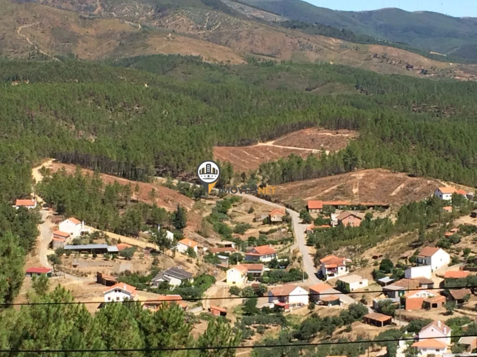 Moradia T3 para Venda em Almaceda Foto 4