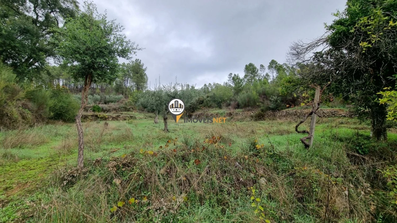 Moradia T3 para Venda em Almaceda Foto 26