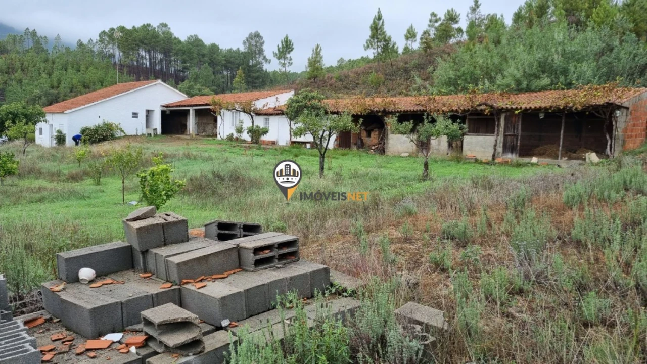 Moradia T3 para Venda em Almaceda Foto 21