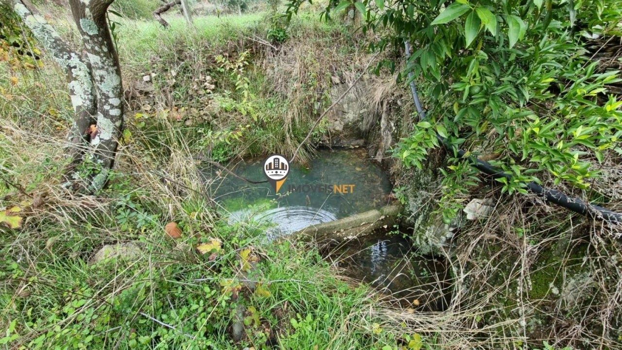 Moradia T3 para Venda em Almaceda Foto 28