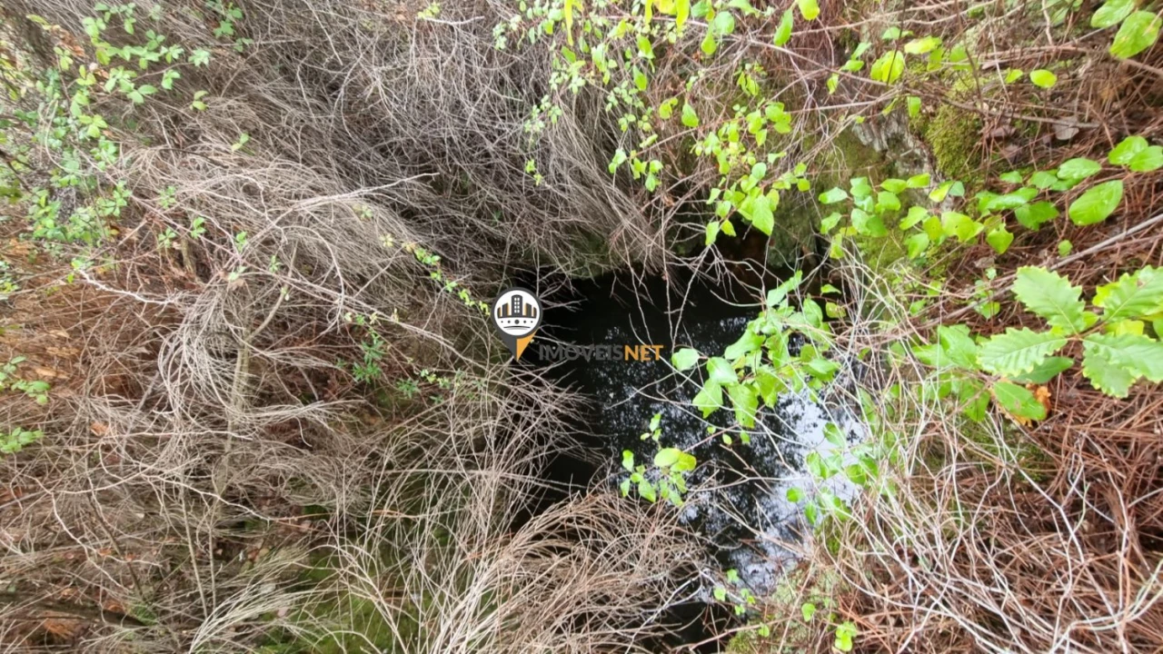 Moradia T3 para Venda em Almaceda Foto 18