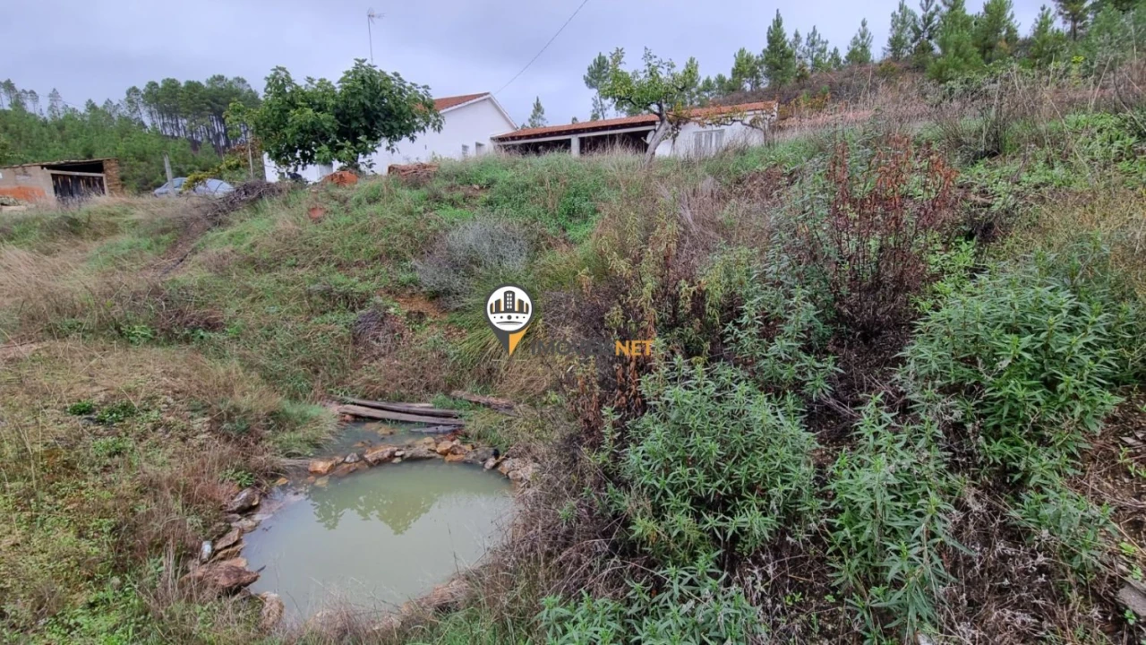 Moradia T3 para Venda em Almaceda Foto 45