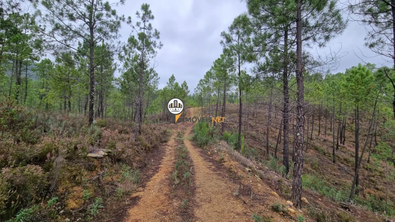 Moradia T3 para Venda em Almaceda Foto 12