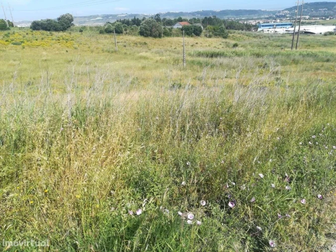 Terreno para Venda em Santo Antão e São Julião do Tojal Foto 1