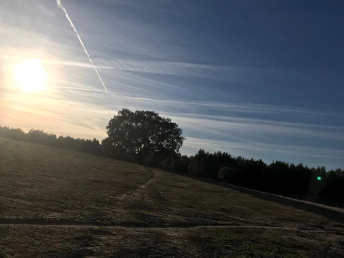 Quinta T0 para Venda em Gafete Foto 3