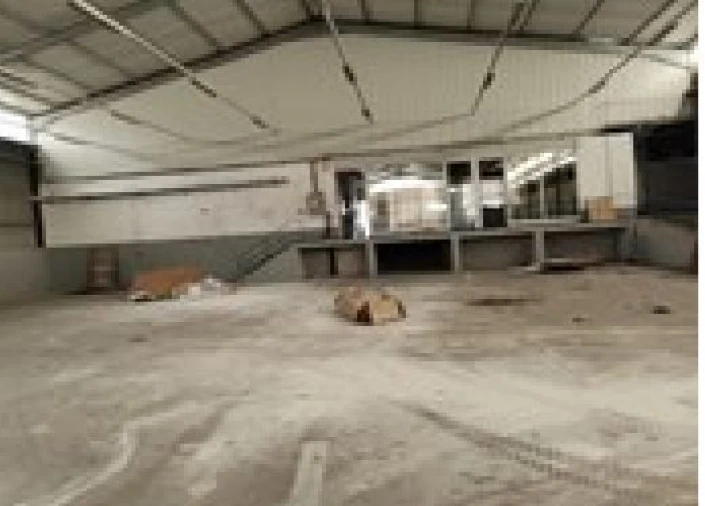 Loja para Venda em Muge Foto 6