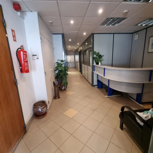 Loja para Venda em Campo de Ourique Foto 4