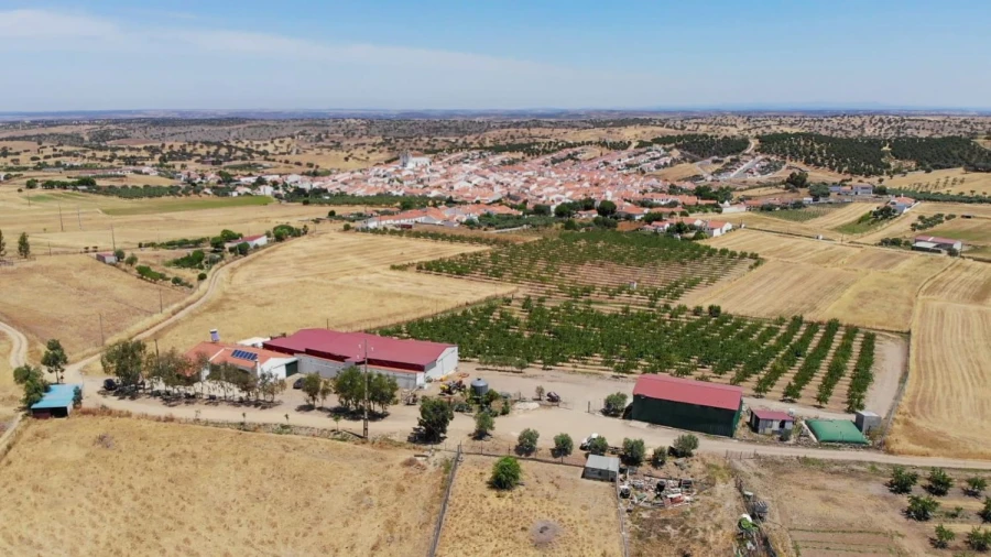 Moradia T3 para Venda em Safara e Santo Aleixo da Restauração Foto 4