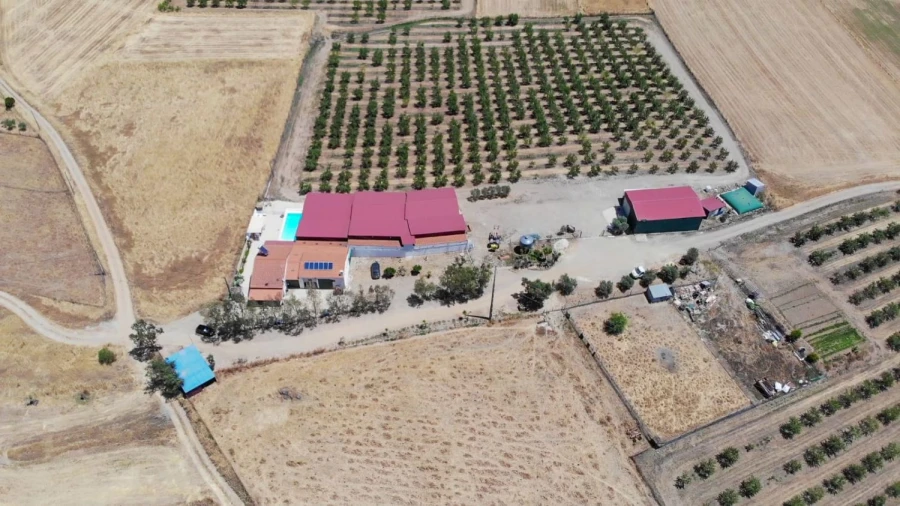 Moradia T3 para Venda em Safara e Santo Aleixo da Restauração Foto 3