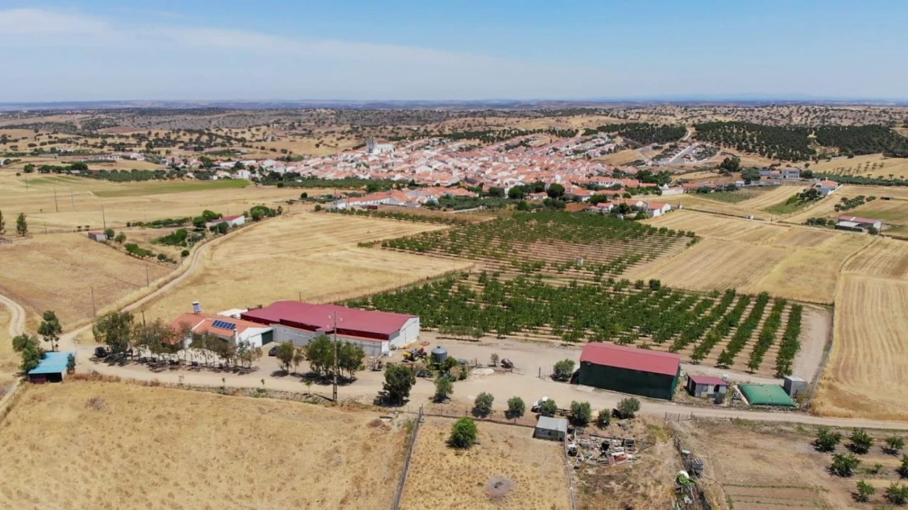 Moradia T3 para Venda em Safara e Santo Aleixo da Restauração Foto 4