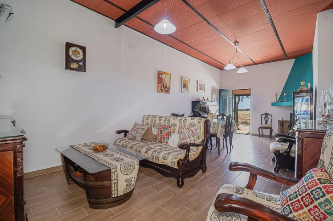 Moradia T3 para Venda em Safara e Santo Aleixo da Restauração Foto 10