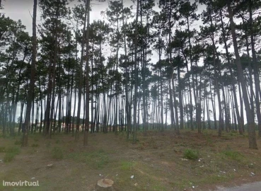 Terreno para Venda em Marinha Grande