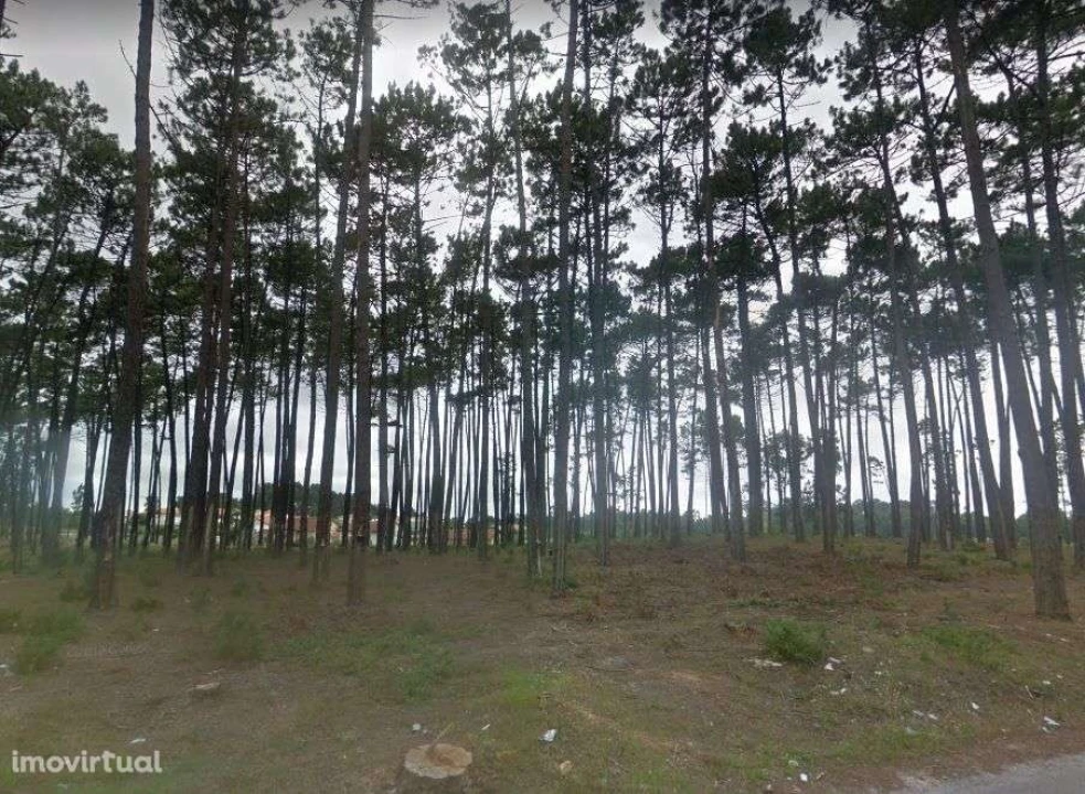 Terreno para Venda em Marinha Grande Foto 1