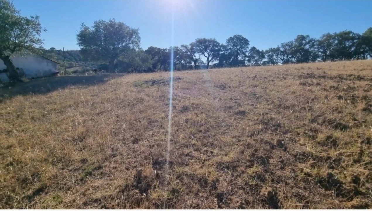 Quinta T3 para Venda em Marvila, Ribeira Santarém, São Salvador, São Nicolau Foto 9