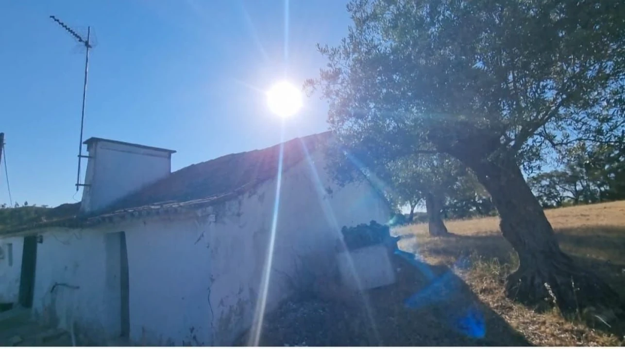 Quinta T3 para Venda em Marvila, Ribeira Santarém, São Salvador, São Nicolau Foto 8