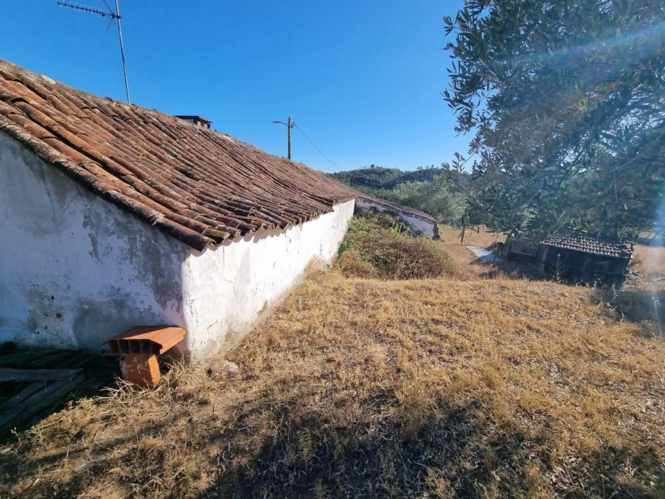 Quinta T3 para Venda em Marvila, Ribeira Santarém, São Salvador, São Nicolau Foto 5