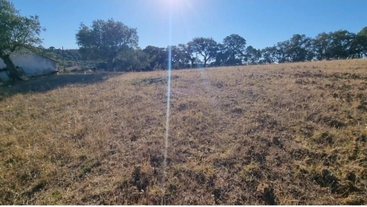 Terreno para Venda em Marvila, Ribeira Santarém, São Salvador, São Nicolau Foto 9