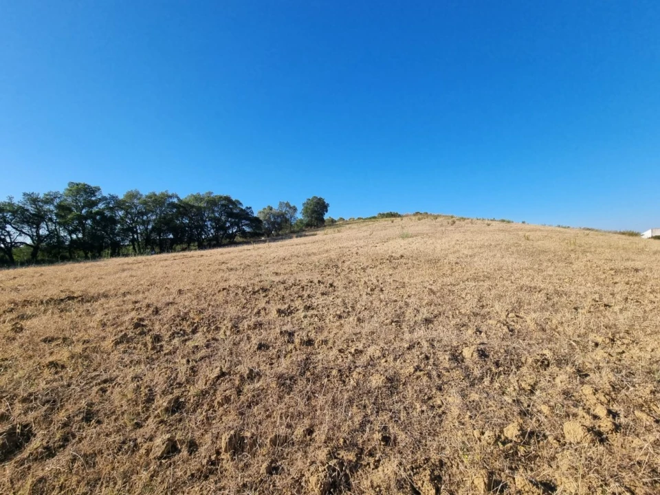 Terreno para Venda em Marvila, Ribeira Santarém, São Salvador, São Nicolau Foto 1