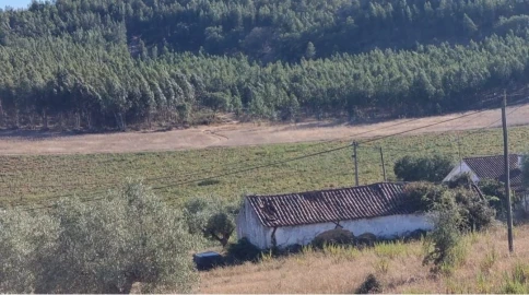 Terreno para Venda em Marvila, Ribeira Santarém, São Salvador, São Nicolau