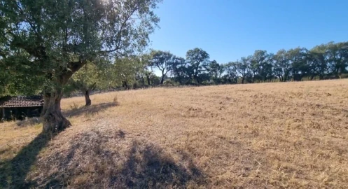 Terreno para Venda em Marvila, Ribeira Santarém, São Salvador, São Nicolau