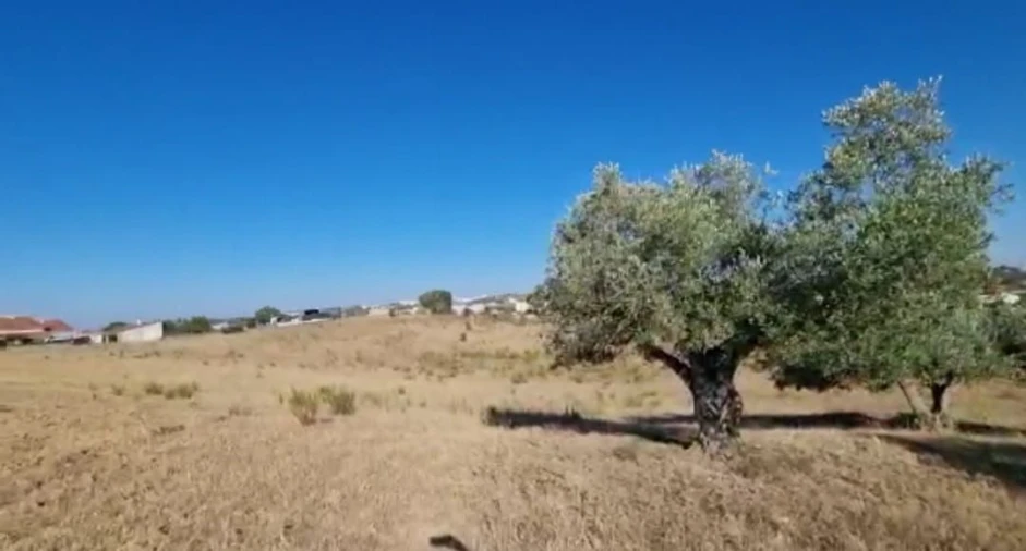Terreno para Venda em Marvila, Ribeira Santarém, São Salvador, São Nicolau Foto 12