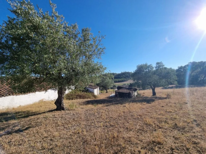 Terreno para Venda em Marvila, Ribeira Santarém, São Salvador, São Nicolau Foto 3