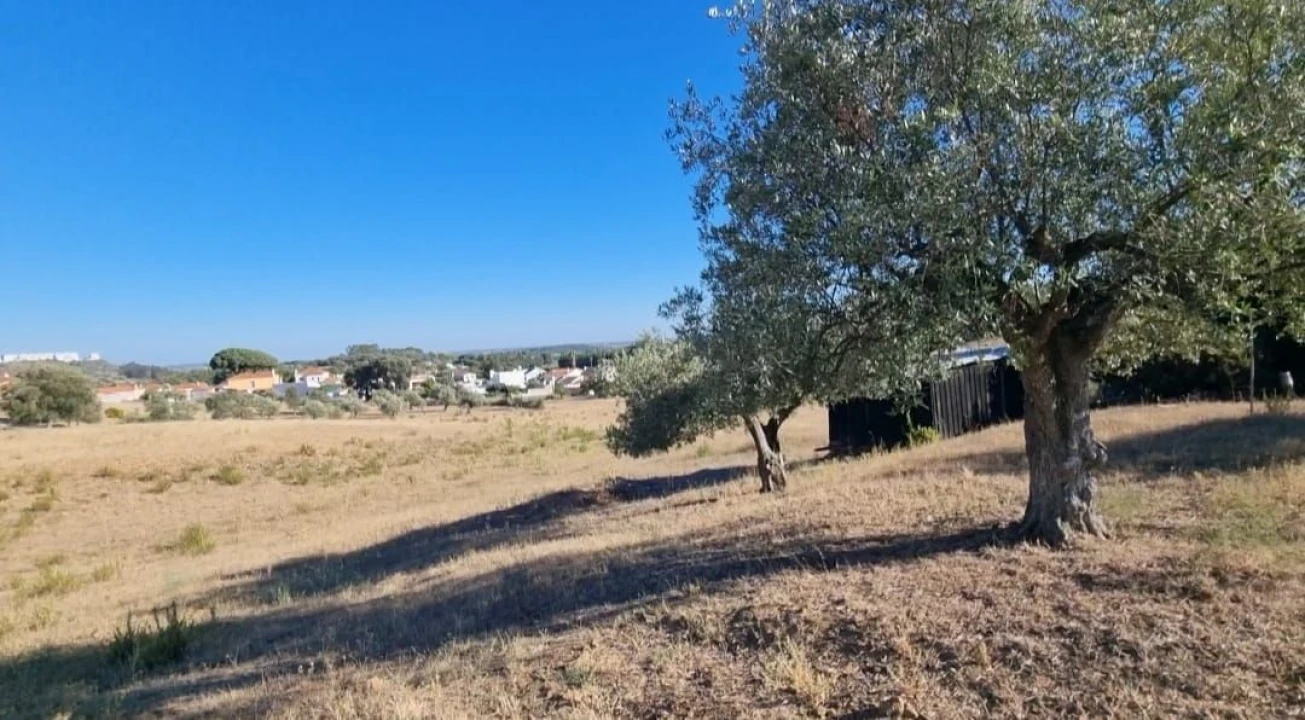 Terreno para Venda em Marvila, Ribeira Santarém, São Salvador, São Nicolau Foto 10