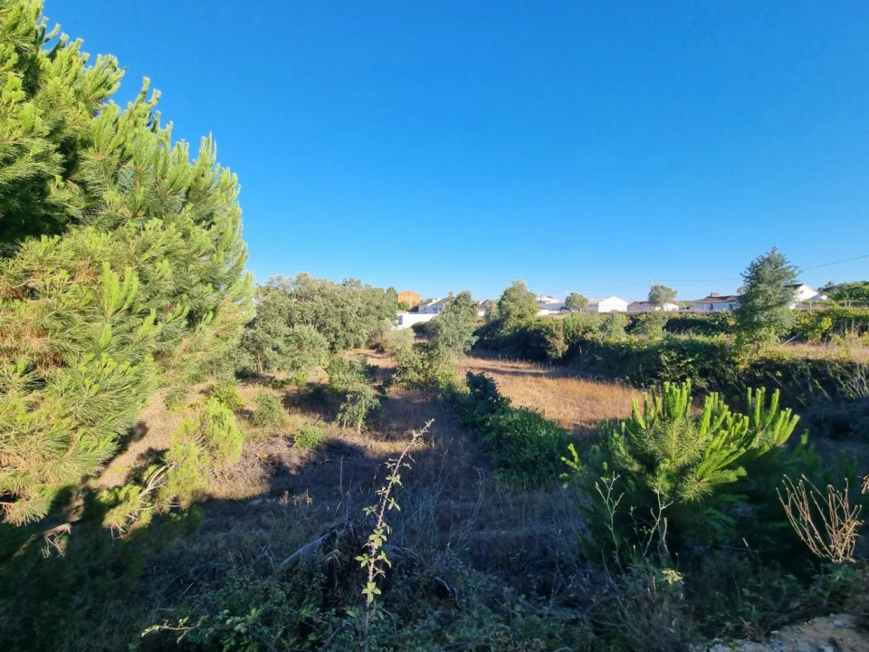 Quinta T3 para Venda em Marvila, Ribeira Santarém, São Salvador, São Nicolau Foto 12