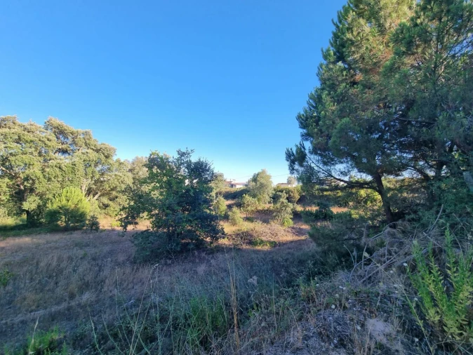 Quinta T3 para Venda em Marvila, Ribeira Santarém, São Salvador, São Nicolau Foto 14