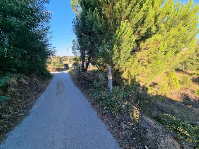 Quinta T3 para Venda em Marvila, Ribeira Santarém, São Salvador, São Nicolau Foto 11