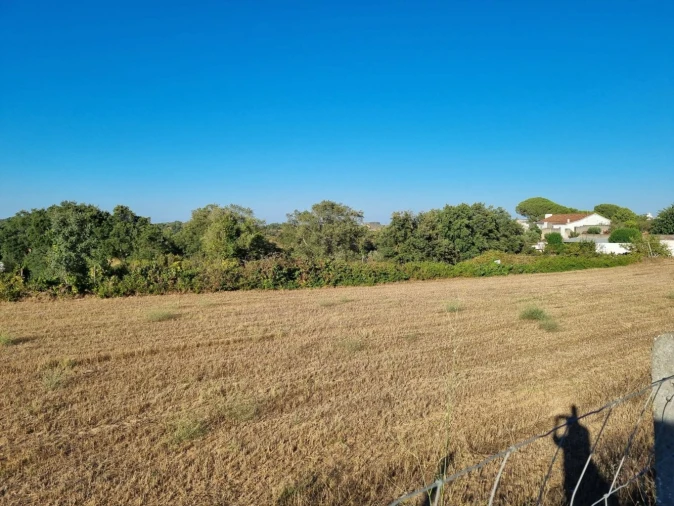 Quinta T3 para Venda em Marvila, Ribeira Santarém, São Salvador, São Nicolau Foto 5