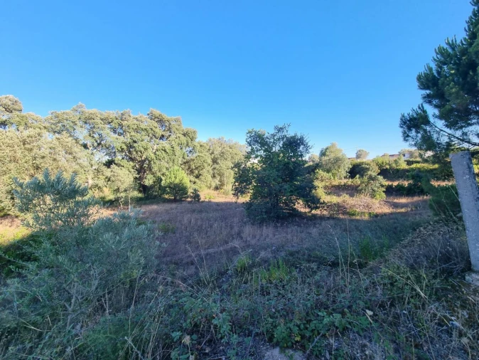 Quinta T3 para Venda em Marvila, Ribeira Santarém, São Salvador, São Nicolau Foto 13