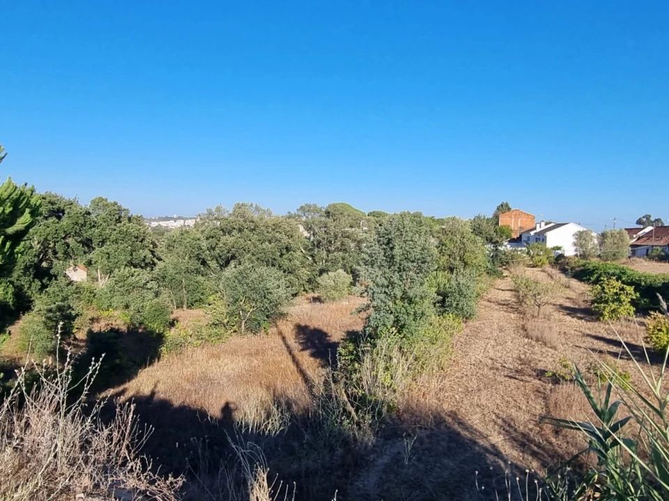 Quinta T3 para Venda em Marvila, Ribeira Santarém, São Salvador, São Nicolau Foto 10