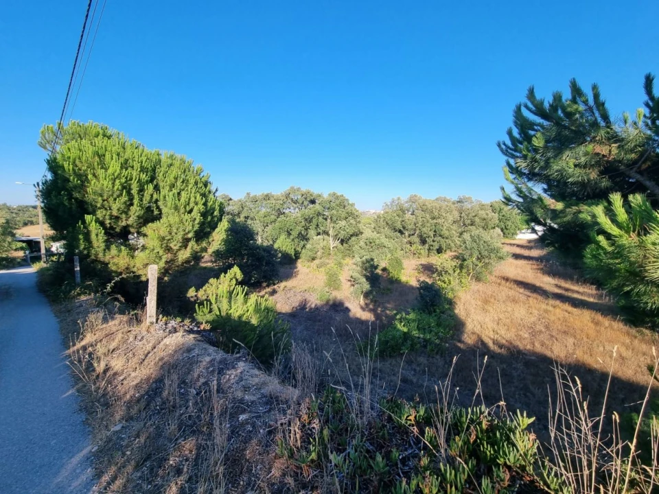 Quinta T3 para Venda em Marvila, Ribeira Santarém, São Salvador, São Nicolau Foto 9