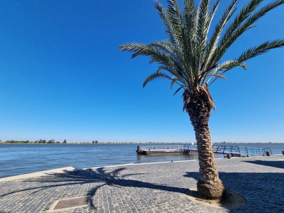 Loja para Venda em Vila Franca de Xira Foto 8