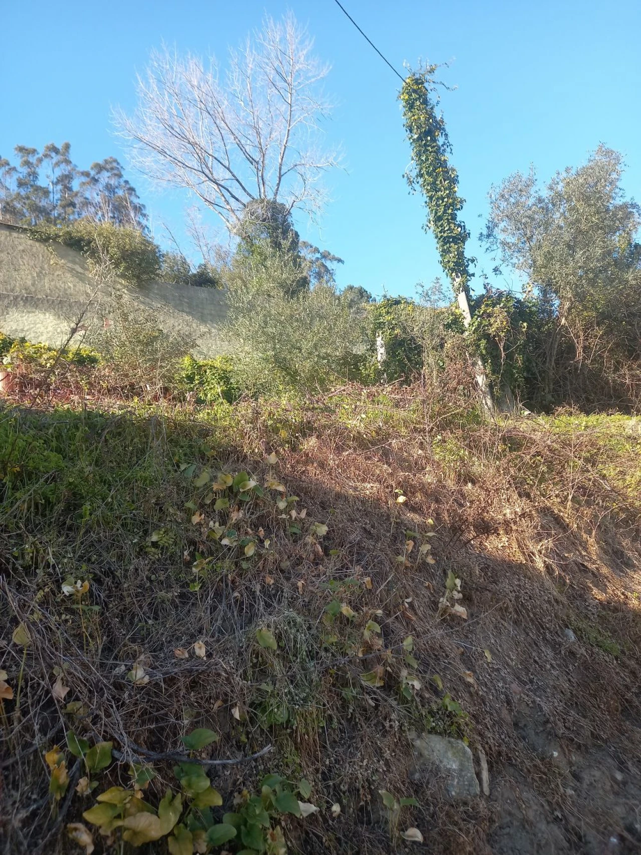 Terreno para Venda em Venda do Pinheiro e Santo Estêvão das Galés Foto 3