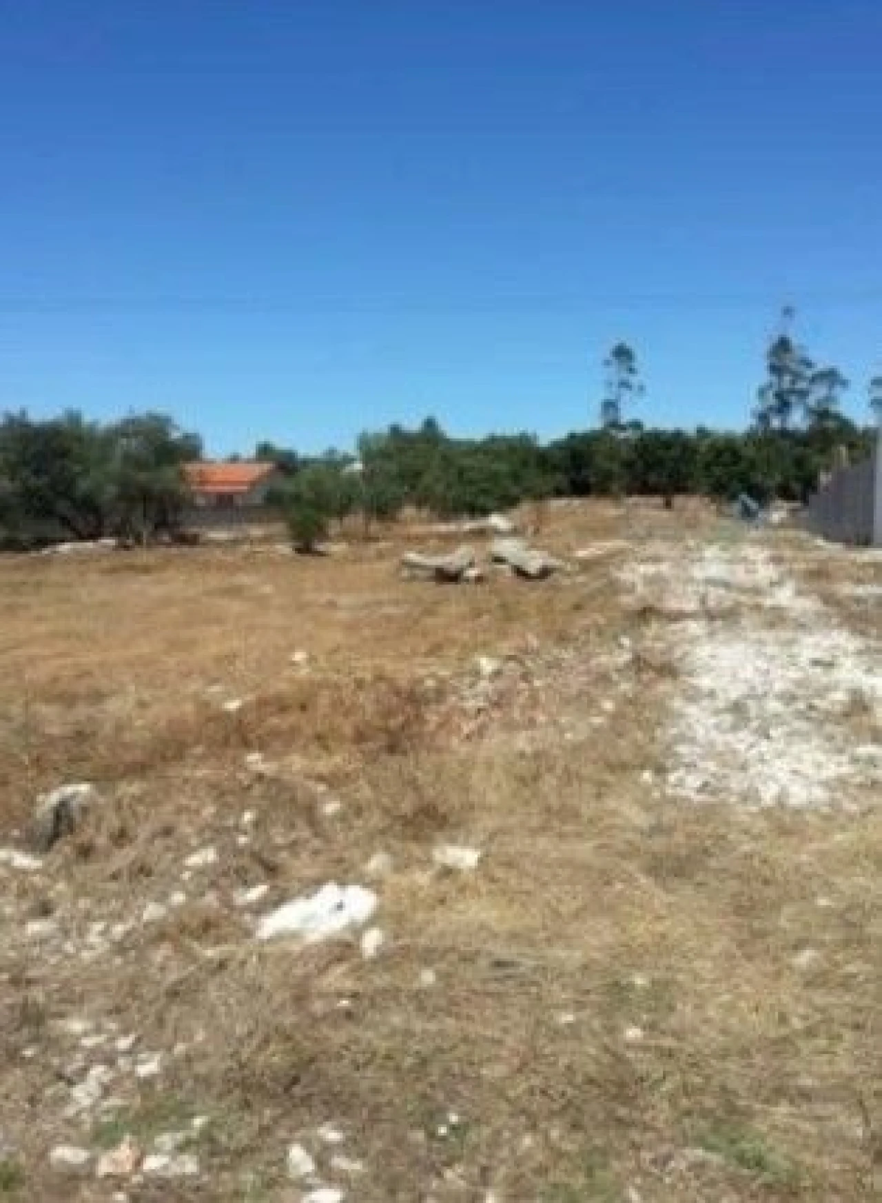 Terreno para Venda em Turquel Foto 5