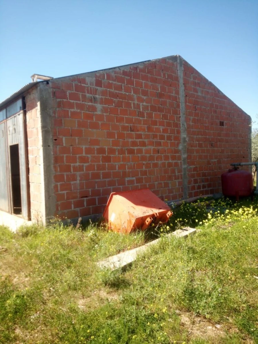 Quinta T0 para Venda em Amareleja Foto 8