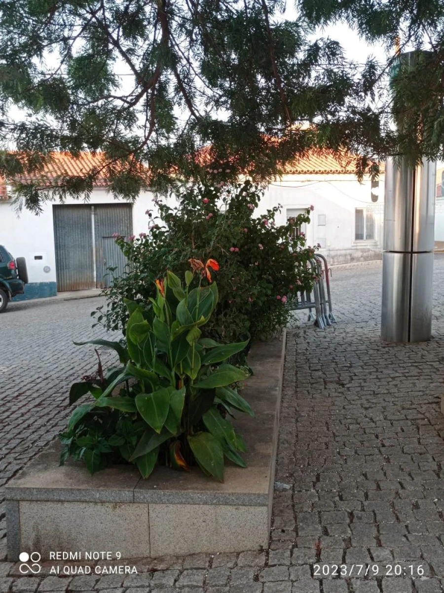 Moradia T6 para Venda em Portel Foto 9