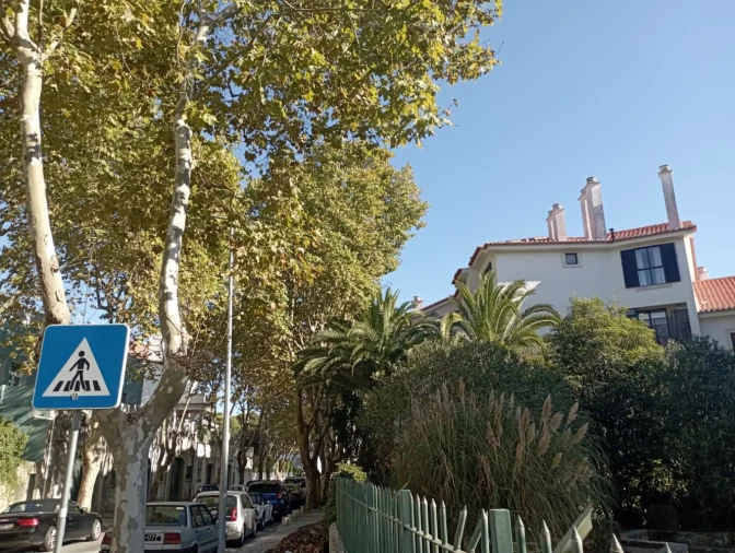 Apartamento T3 para Venda em Cascais e Estoril Foto 20