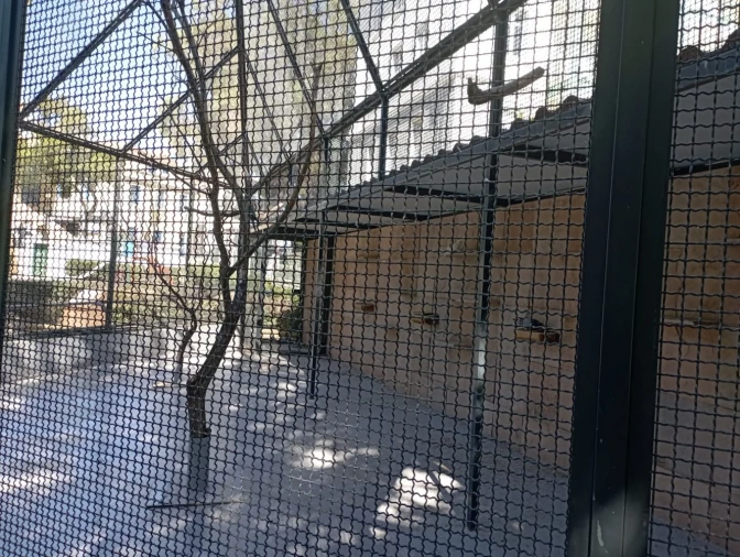 Apartamento T3 para Venda em Cascais e Estoril Foto 19