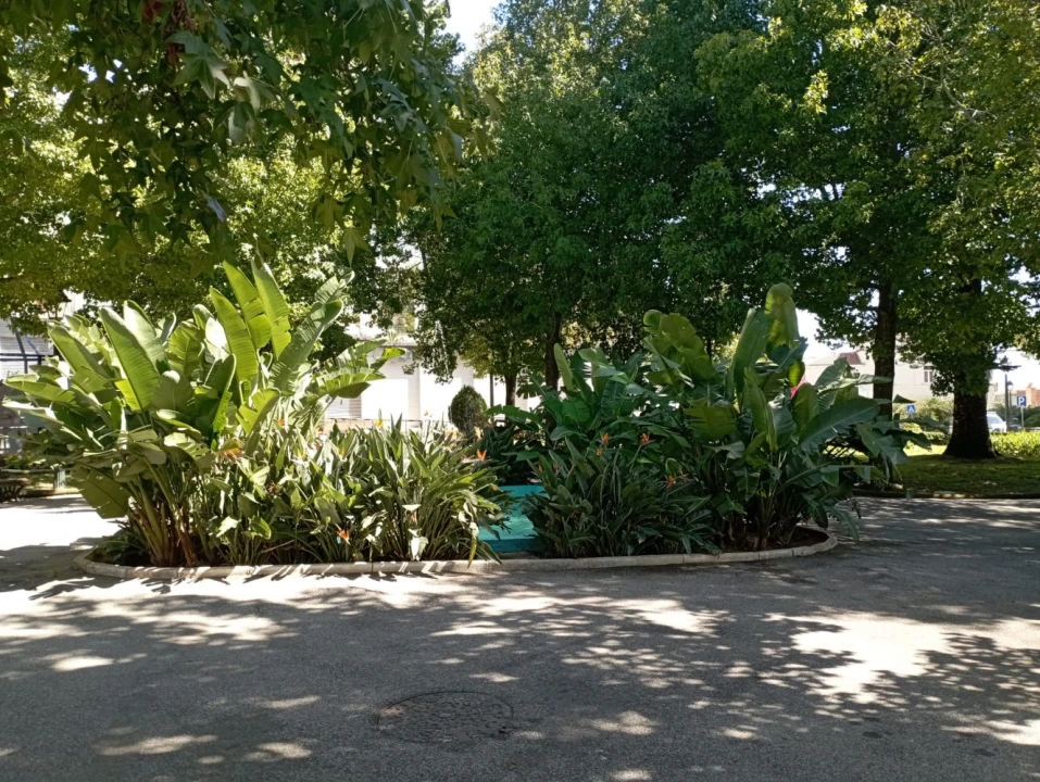 Apartamento T3 para Venda em Cascais e Estoril Foto 22
