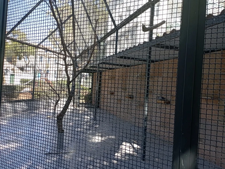 Apartamento T3 para Venda em Cascais e Estoril Foto 19