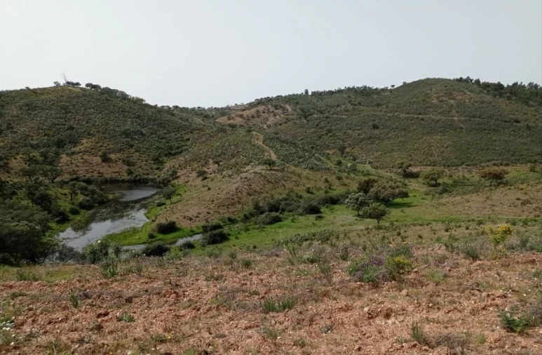 Terreno para Venda em Portel Foto 3