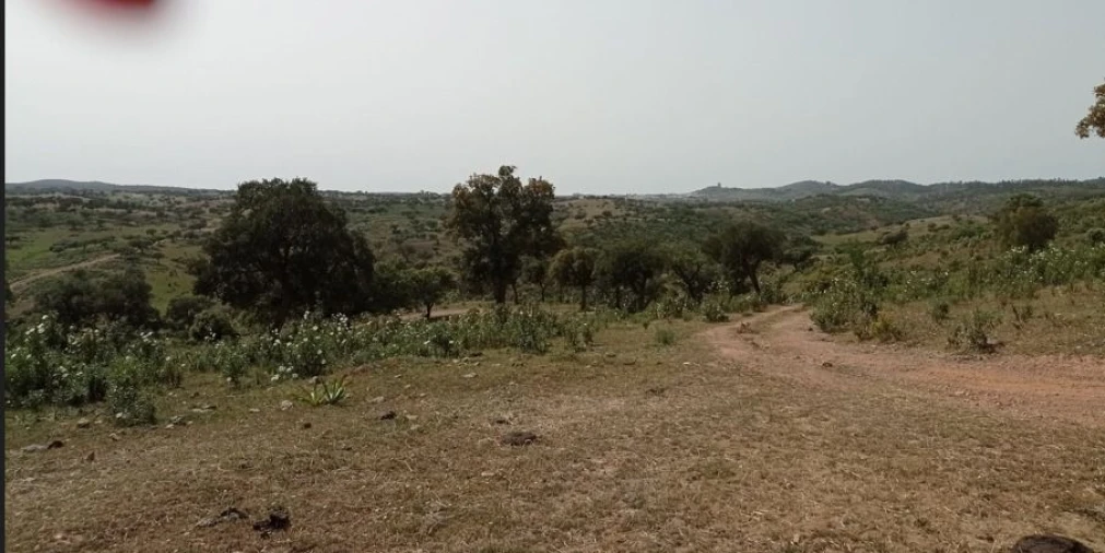 Terreno para Venda em Portel Foto 9