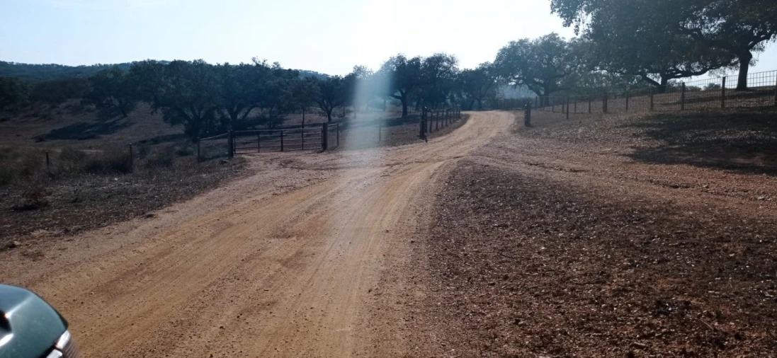 Terreno para Venda em Portel Foto 11