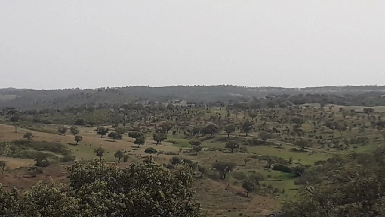 Terreno para Venda em Portel Foto 2