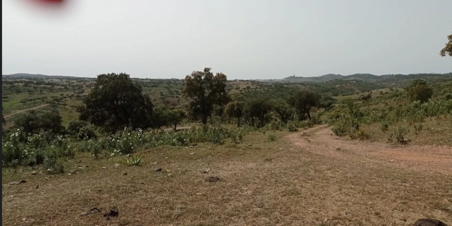 Terreno para Venda em Portel Foto 9