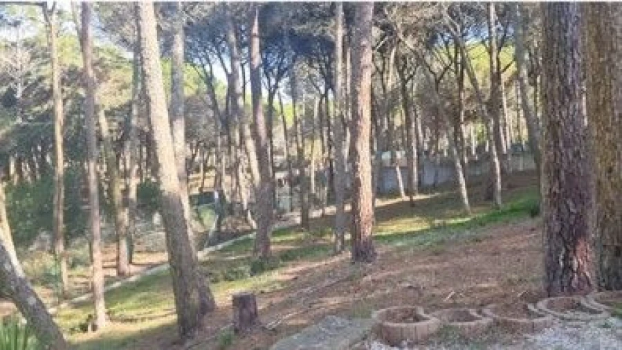 Terreno para Venda em Constancia