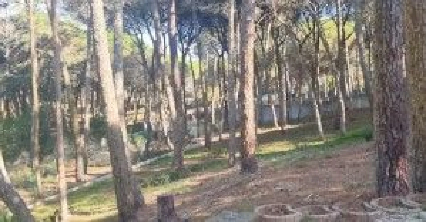 Terreno para Venda em Constancia Foto 5